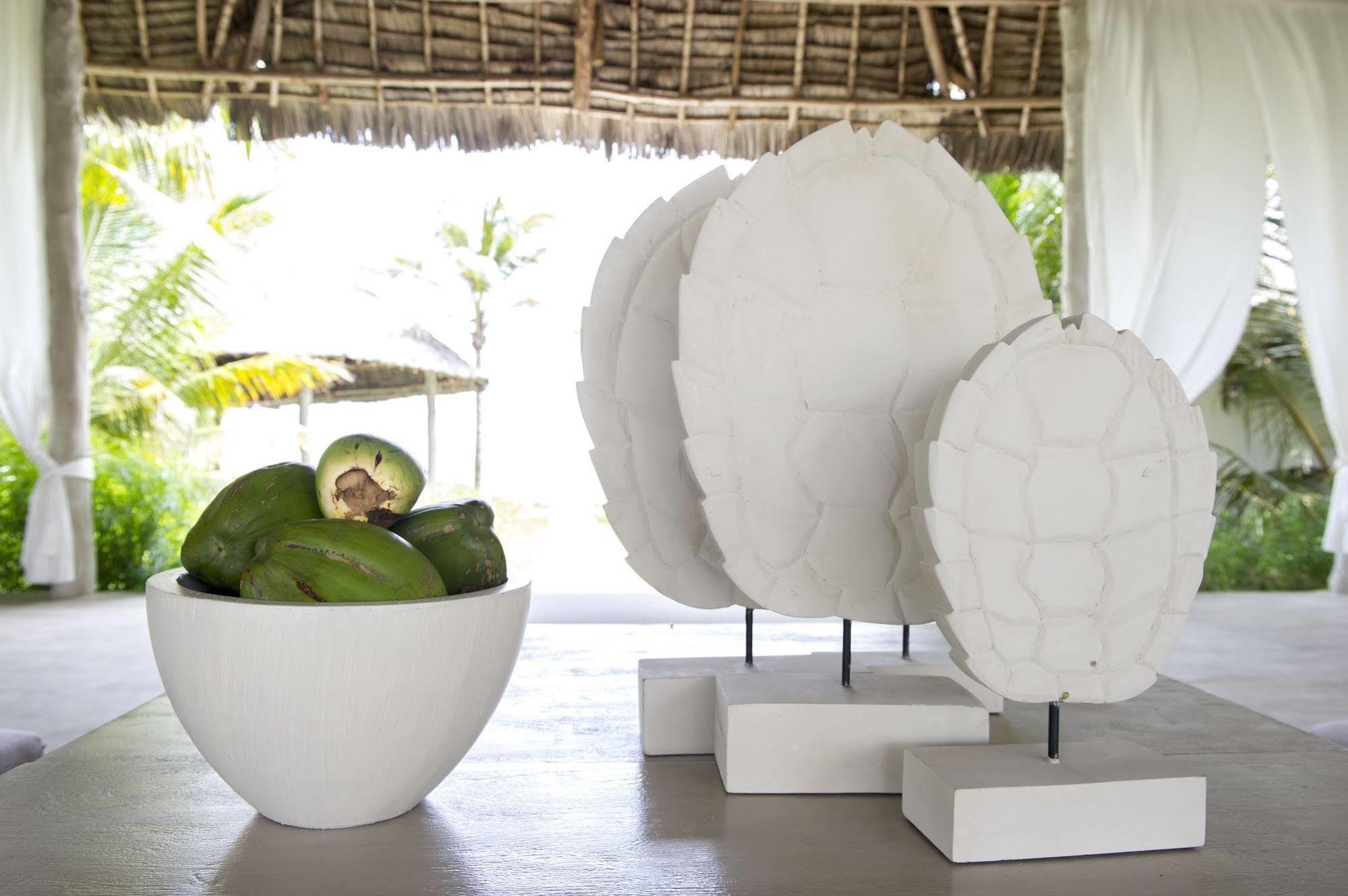 Zawadi Hotel, Zanzibar Michamvi 外观 照片